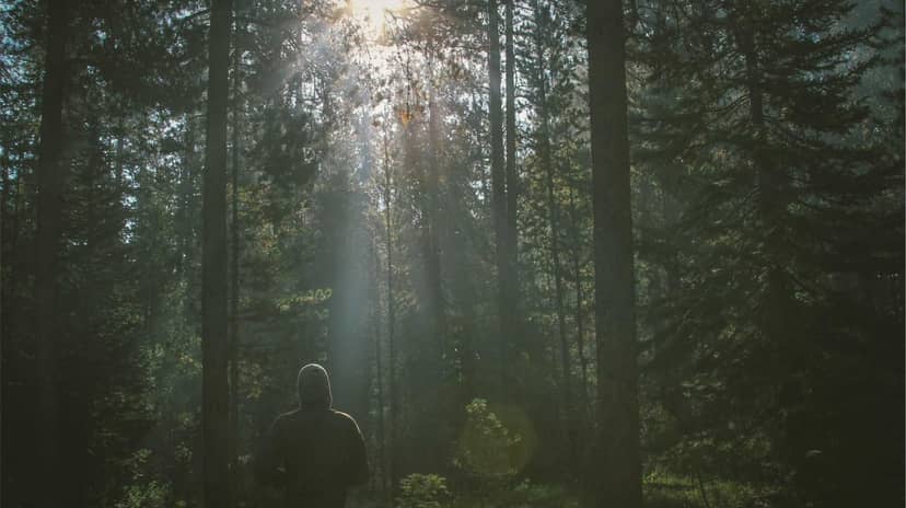 Unauth title TYiDizFw